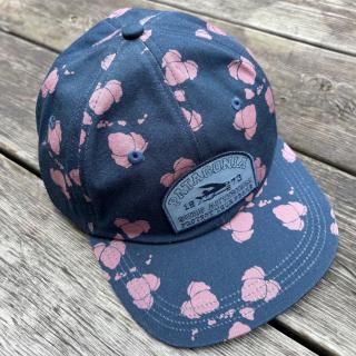 Patagonia Surf Trade cap Team Surf Activist Gerry Islands Pool Blueѥ˥ եȥåɥå ꡼ڥ