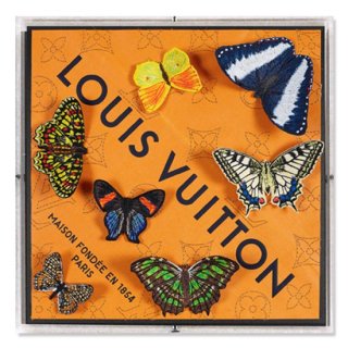 Louis Seven Variation