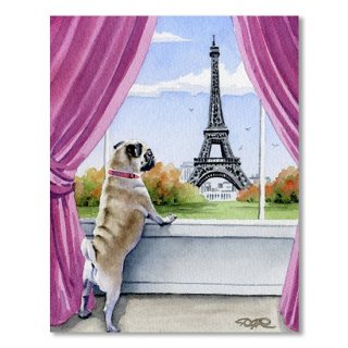 Pug in Paris