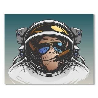 Monkey Astronaut Illustration