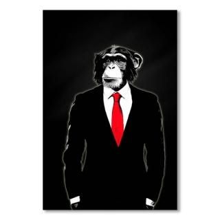 ECDomesticated Monkey