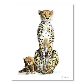 Cheetah Mom and Baby 1