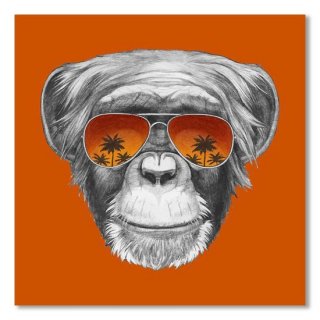 Monkey with mirror sunglasses