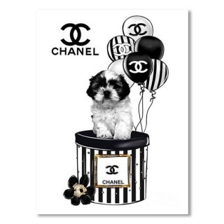 Chanel Dog And Ballon