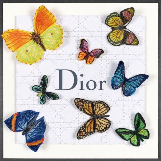 <img class='new_mark_img1' src='https://img.shop-pro.jp/img/new/icons1.gif' style='border:none;display:inline;margin:0px;padding:0px;width:auto;' />Butterfly Swarm Dior 12129655