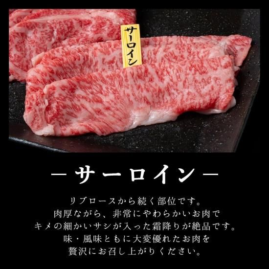 【お好み焼きさん専用】医療参考書類 ポスカ 広島お好み「層」 | エディット・キュー 球店