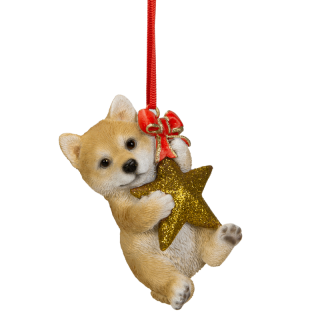Ƹ