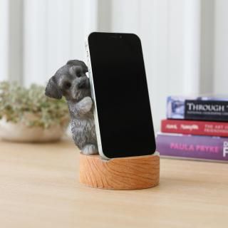 DancingʥΥޥۥɡʥ饤ȥ졼