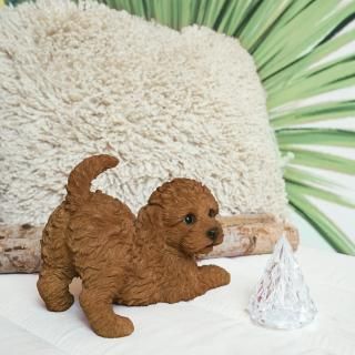 줿ȥסɥ롡å