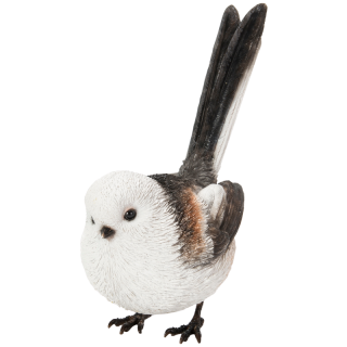 ΩƤ륨ʥ