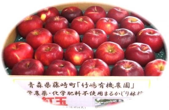 青森県竹嶋有機農園産 化学農薬・化学肥料不使用・ノーワックス 青森県竹嶋有機農園産 化学農薬・化学肥料不使用・ノーワックス