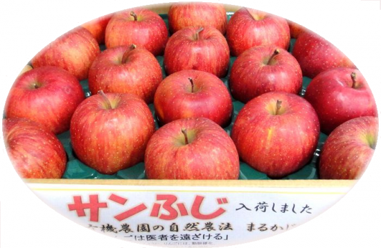 食品・飲料・酒青森県産無農薬サンフジりんご10キロ送料無料