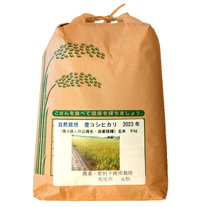 【2023年度産】農薬・肥料一切不使用の自然栽培米「元松さんの豊コシヒカリ ５Kg」※玄米のみ