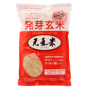 熊本県産 無農薬全粒粉（中力粉）