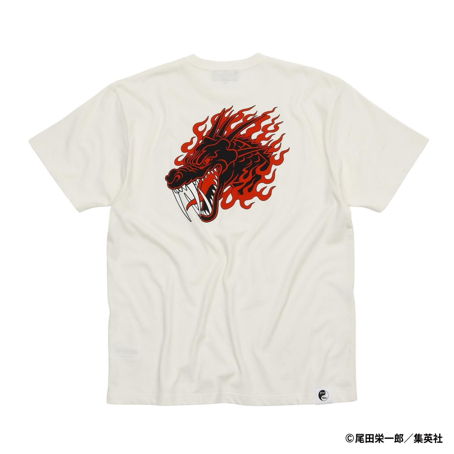 MONSTERS 一百三情飛龍侍極』 公式ガイドブックDVD同梱BOX 大業