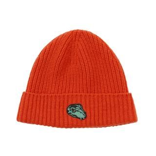 T-Rex Knit Cap