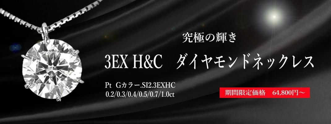 GSI3EXHC
