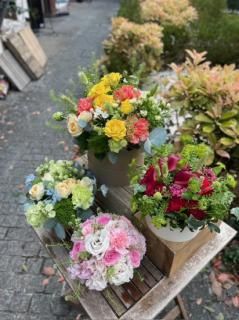 <img class='new_mark_img1' src='https://img.shop-pro.jp/img/new/icons48.gif' style='border:none;display:inline;margin:0px;padding:0px;width:auto;' />Ρե󥸥ȡ5/85/10Ϥ
