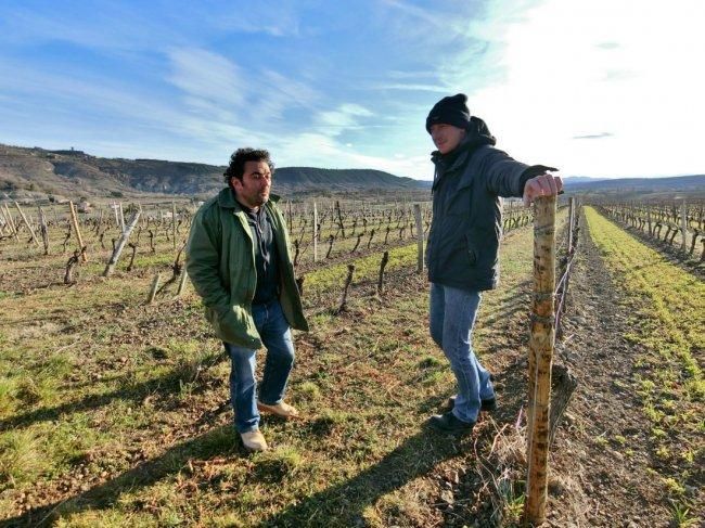 DM. Les Deux Terres Ripaille '21 - ワイン店 un deux trois