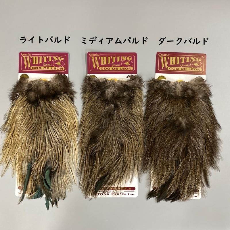 WhitingCoq de LeonRooster Saddleナチュラルカラー - 加藤毛ばり店