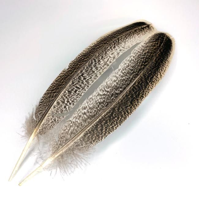 フライフィッシング用 フライマテリアル 鳥の羽根