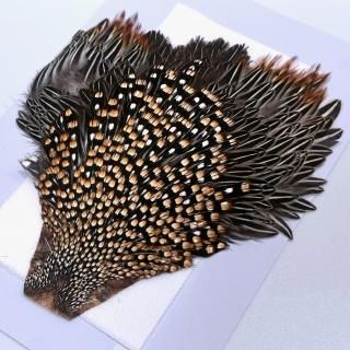 ジャングルコック - 加藤毛ばり店 ジャングルコック - 加藤毛ばり店