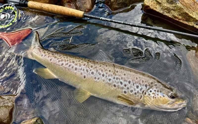 バイブリーコート　フライフィッシング　ウールJK（日本製） バイブリーコート フライフィッシング ウールJK