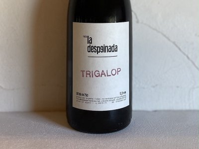 ֡[2019] ȥꥬåסʥ顦ǥڥʡˡ TRIGAROP  (La despeinada)ξʲ