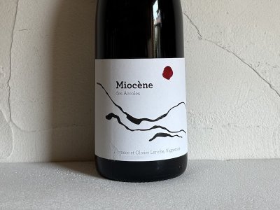 ٥ɡ֡[2019] ߥ̡ʥɥ᡼̡ǡˡ  MIOCÈNE (Domaine Des ACCOLES)ξʲ