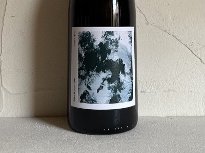 ֡[2019] ԥΥΥʥ󥰡ȡɥաˡ Pinot Noir (Weingut Walldorf)ξʲ