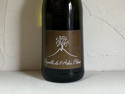 フレデリック・グナン（ラルブル・ブラン） L'Arbre Blanc（Frederic Gounan） - Wine Shop Salut -  世界各地の自然派＆銘醸ワイン ワインショップ サリュー