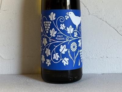 アメリカAMERICA - Wine Shop Salut - 世界各地の自然派&銘醸 アメリカAMERICA - Wine Shop Salut - 世界各地の自然派&銘醸
