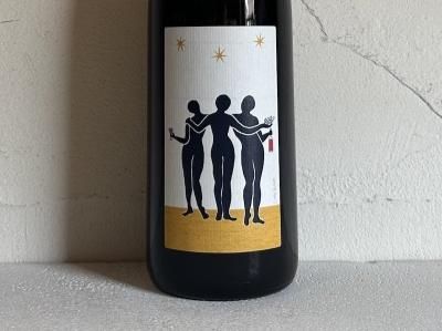 chiharu⭐︎SOMAVEDIC AMBER シャンパン ソーマ・ヴァインズ Soma Vines - Wine Shop Salut - 世界各地の