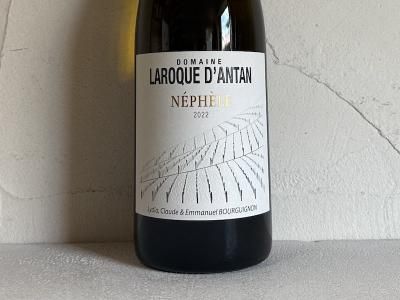 [2022] ͥեʥå󥿥ˡNéphèle (LAROQUE DANTAN)ξʲ