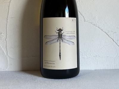 アンドレアス・ツェッペ ANDREAS TSCHEPPE - Wine Shop Salut アンドレアス・ツェッペ ANDREAS TSCHEPPE - Wine Shop Salut