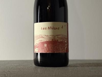 ヴァンサン・トリコVincent Tricot - Wine Shop Salut - 世界