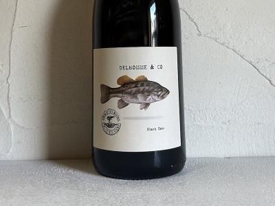 日仏商事株式会社 - Wine Shop Salut - 世界各地の自然派&銘醸 日仏商事株式会社 - Wine Shop Salut - 世界各地の自然派&銘醸