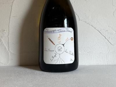 10,000円~29,999円 - Wine Shop Salut - 世界各地の自然派&銘醸 10,000円~29,999円 - Wine Shop Salut - 世界各地の自然派&銘醸