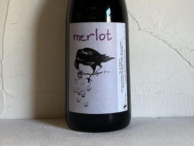 Wine Shop Salut - 世界各地の自然派&銘醸ワイン ワイン Wine Shop Salut - 世界各地の自然派&銘醸ワイン ワイン