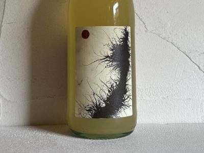イタリア ITALIA - Wine Shop Salut - 世界各地の自然派&銘醸 イタリア ITALIA - Wine Shop Salut - 世界各地の自然派&銘醸