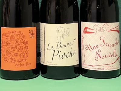 10,000円~29,999円 - Wine Shop Salut - 世界各地の自然派＆銘醸