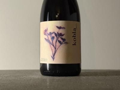 9,000円~9,999円 - Wine Shop Salut - 世界各地の自然派＆銘醸