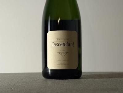 自然派ワイン 【 JO 2013 】 『GIANFRANCO FINO』 自然派ワイン