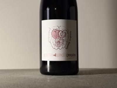 ֡[2023] ᥤȥ塼ʥɥ᡼̡ɥ󡦥ƥˡGamay ToujoursDomaine Landron Chartierˤξʲ