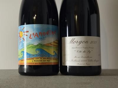 【自然派ワイン】ドメーヌガヌヴァ　Trousseau 2022 750ml 自然派ワイン - Wine Shop Salut - 世界各地の自然派＆銘醸