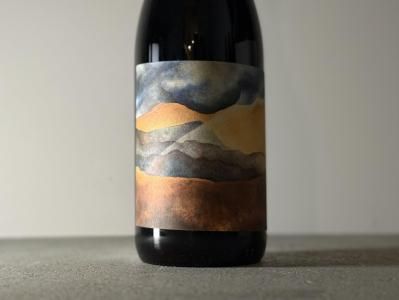 VIVIT シャンパーニュ 2本セット VIVIT シャンパーニュ 2本セット シャンパーニュ＆フランス赤ワイン2本