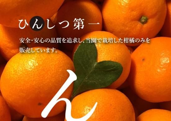 35.せとか6キロ2箱（12キロ）北陸東海より西側料金 予約販売中！】せとか2kg（ご家庭用）※2月下旬より順次発送開始
