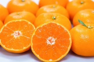 Orangestoreニノミヤ｜愛媛の柑橘農家から旬のみかんをお届けし