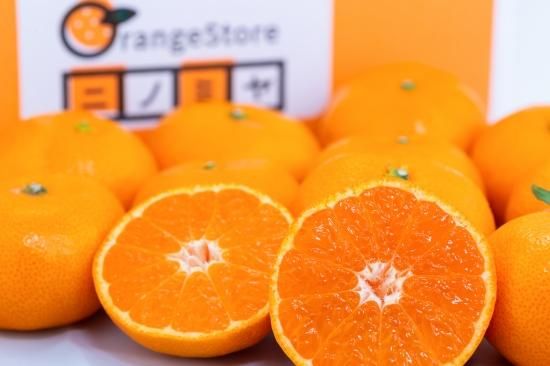 夕やけみかん 【極】（3㎏～10㎏）（贈答用） - Orangestoreニノミヤ