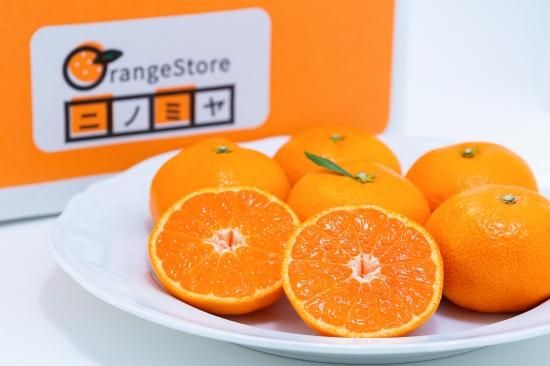 夕やけみかん 【極】（3㎏～10㎏）（贈答用） - Orangestoreニノミヤ